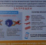 НеХодитьЛед_m - Светловский городской округ